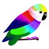 Budgie Bird Propriétaire Bird Cockatiel