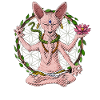 Sphynx Cat Yoga