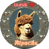 Alpaca I Love