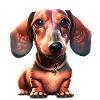 Dackel Dachshund Dackelbesitzer
