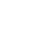 Lacrosse Goaltender