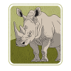 Rhinoceros Rhinoceros | Rhino Gift