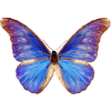 (Effect) Digital oil butterfly