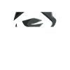 Dark Silent Ninja