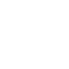 Data ninja star