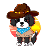 Cowboy dog in sunset