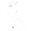 Squelette