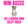 Miniature Australian Shepherd