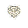 Radiologue Radiologue