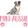 Miniature Australian Shepherd