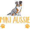 Miniature Australian Shepherd