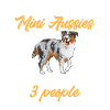Miniature Australian Shepherd