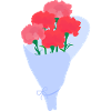 Bouquet of carnations