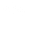 Binoic Spine Club