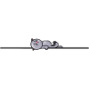 Tired cat