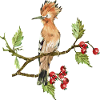 Bunter Vogel