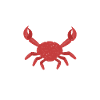 Crab Lover Gifts