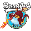 Beautiful Wales red dragon logo