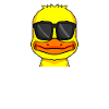 coole Ente Chef Spruch