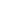 Palm Island Sun