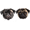 Pug shirt