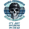 Hockey Skull Crushing stick swinging