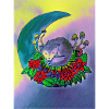 Moon wolf multi colour