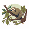 Sloth sleeping