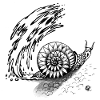 Snail Trail