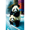 Panda vous regarde