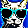 Cool naughty cat wearing sunglasses