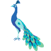 Paradiesvogel