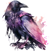Raven