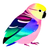Cockatiel Bird Budgie Bird Owner