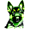 Dog Owner German Shepherd Puppy