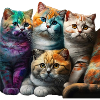 Funny Cats Scottish Cat