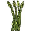 Spargel Zeit