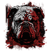 Grumpy English Bulldog