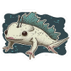 Axolotl