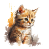 Chaton aquarelle