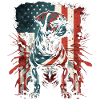 Stars and Stripes American Dog
