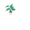 Funny Plant Saying