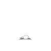 Langschläfer Schlafmütze