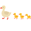 Meine Follower Lustige Enten