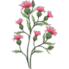 Blumen