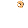 Alpaca Lama Alpaca Animal