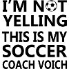 Fußball Soccer
