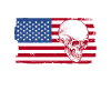 Make America Gothic Again - Gothic