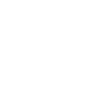 Féminisme féministe radical