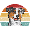 Miniature Australian Shepherd